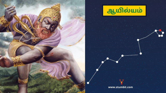 9-ஆயில்யம் நட்சத்திரம்-Ayilyam-Ashlesha-Stumbit-Nakshatras