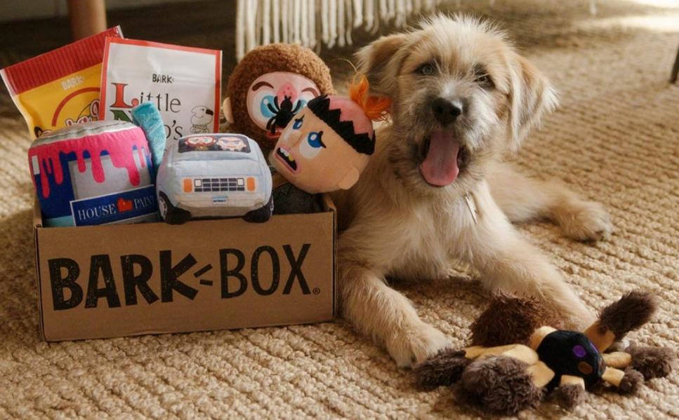 BarkBox – Give Your Dog Exactly What They Want - Stumbit Pets