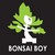 Bonsai Boy - Stumbit Directories