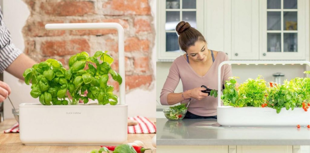 Grow Smart Greens - Online store for Smart Indoor Plants - Stumbit Gardening