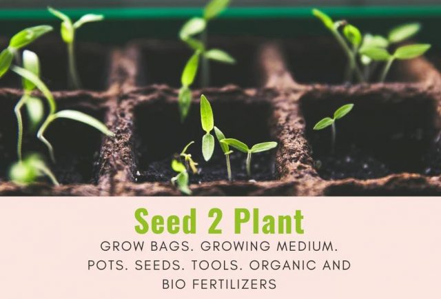 Seed2Plant - Your Way to Healthy Living - Stumbit Gardening