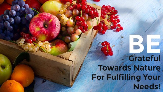 The Fruitsmith - Buy Fruits Online - Stumbit-Online-Shopping|The Fruitsmith - Buy Fruits Online - Stumbit-Online-Shopping 1